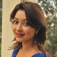 Payal Ghosh hot in Mini Blue dress - Photos | Picture 102696